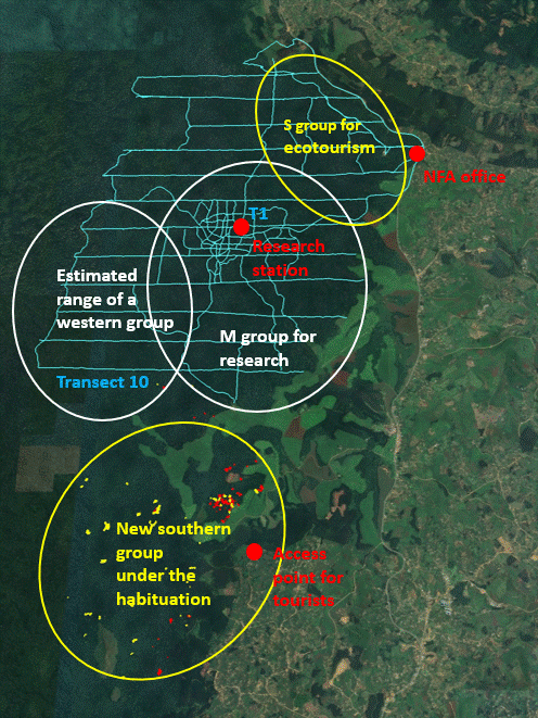 Six primate species in Kalinzu Forest