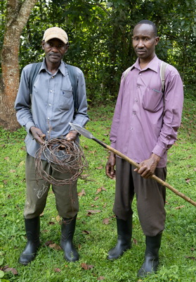 Snares collected by snare removers