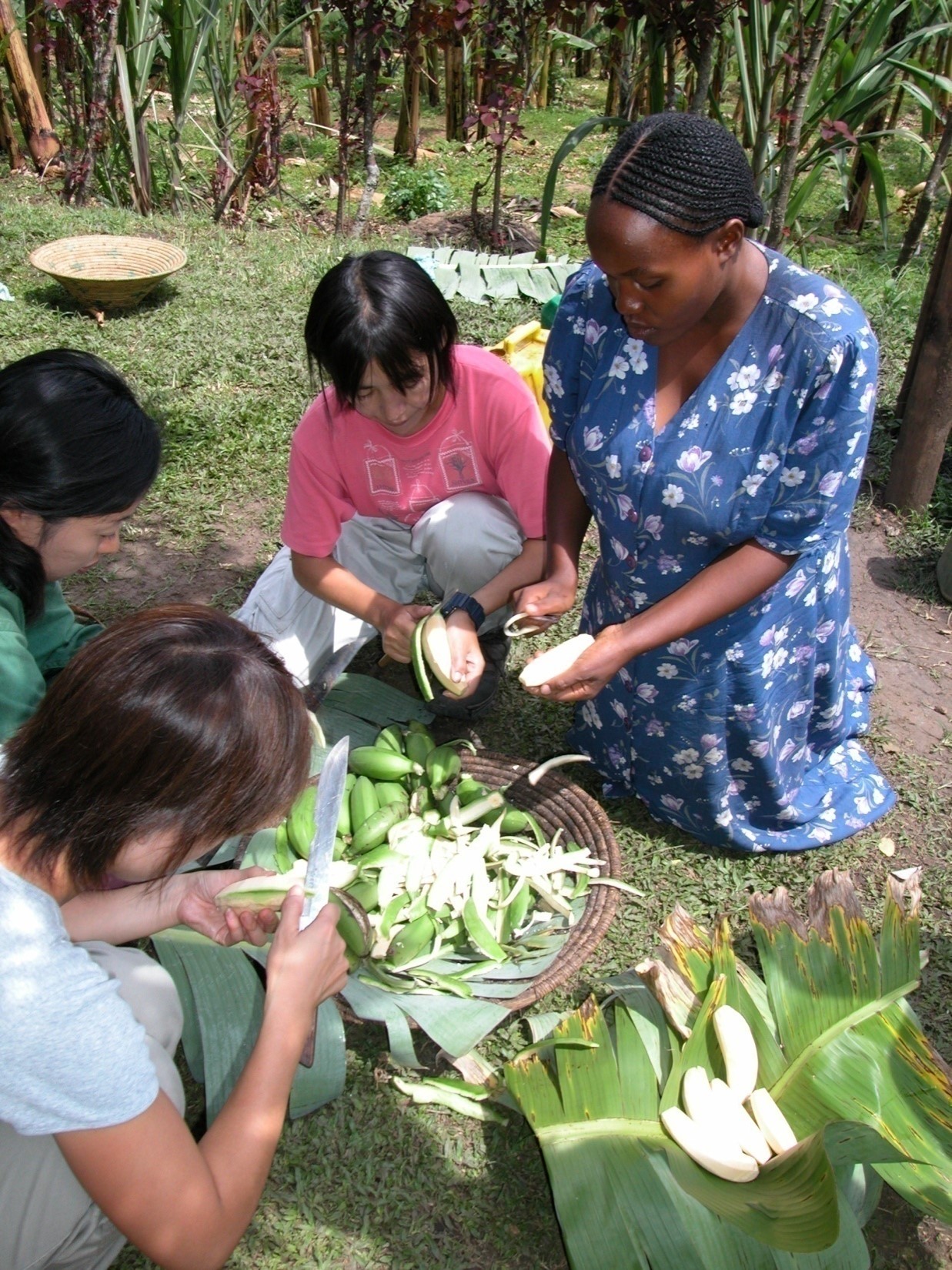 Tourists cooking matoke