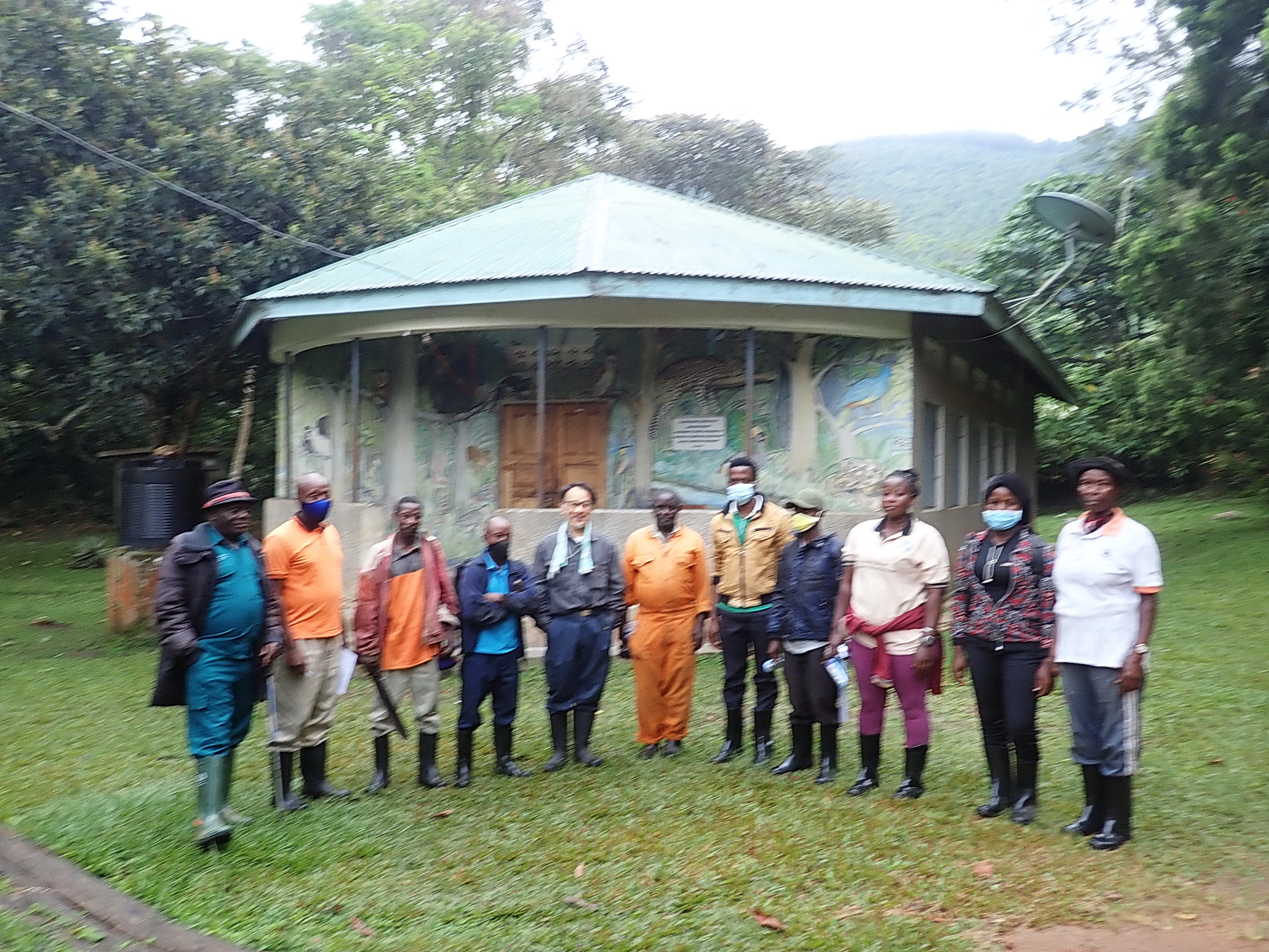 Six primate species in Kalinzu Forest