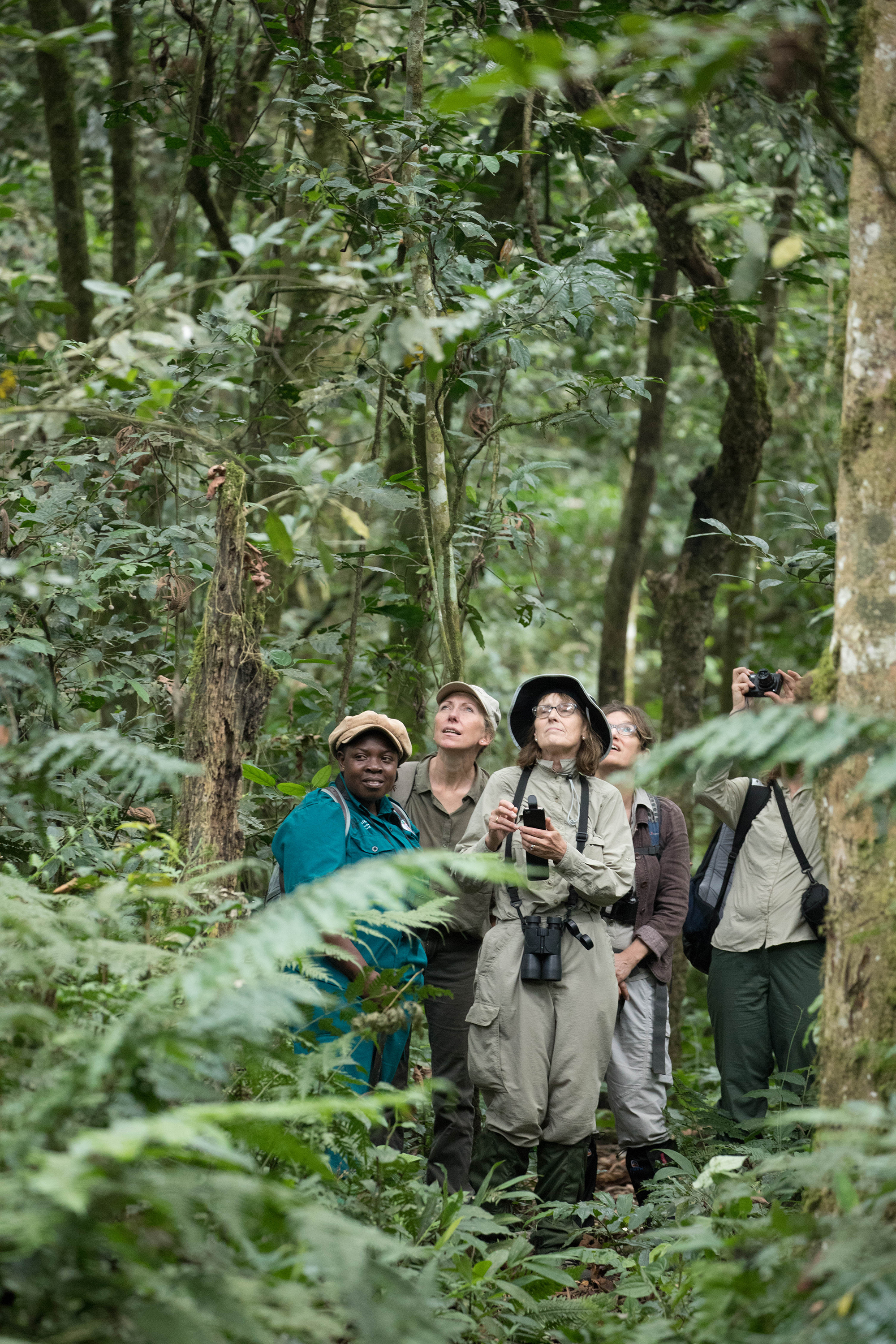 Tourists observing wildlife in Kalinzu Forest